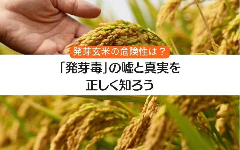 発芽玄米　危険　発芽毒　　嘘