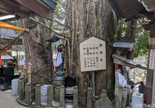 天ケ瀬　成天閣　レビュー　宿泊記