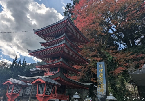 宮若　虎之湯　宿泊記　レビュー