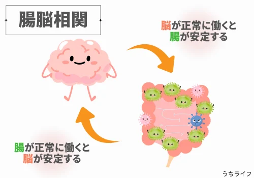 腸脳相関とは　図　イラスト