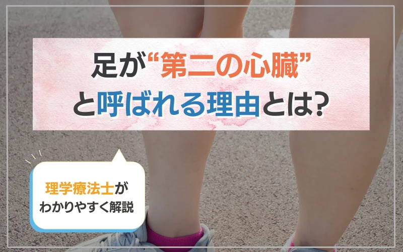 足が第二の心臓と呼ばれる理由