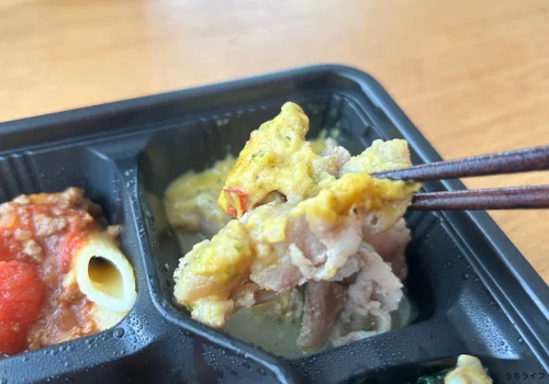 炭火チキンのサルサ風ソース&豚肉のカレーソースプレート