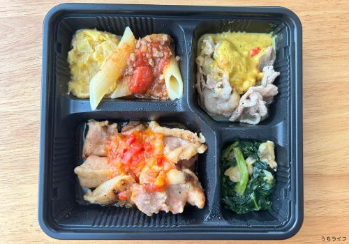 炭火チキンのサルサ風ソース&豚肉のカレーソースプレート