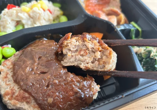 ニチレイパワーデリ グレイビーハンバーグ
