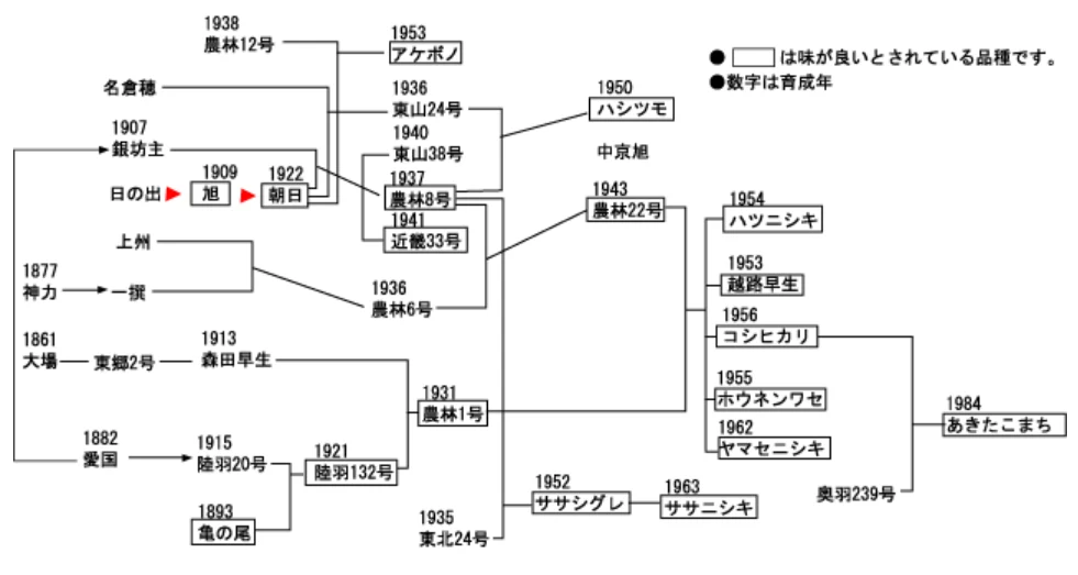 良食味品種 系譜 米